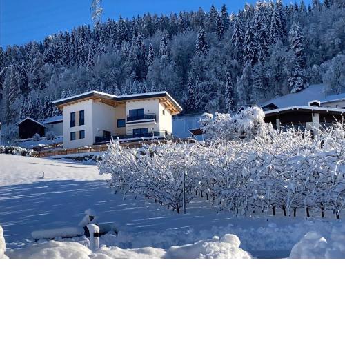Appart Bergliebe