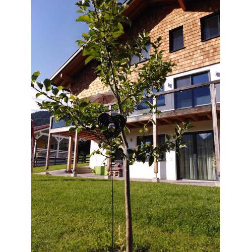 Appartement Dorrer