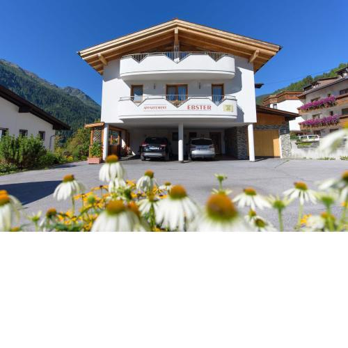 Appartement Ebster