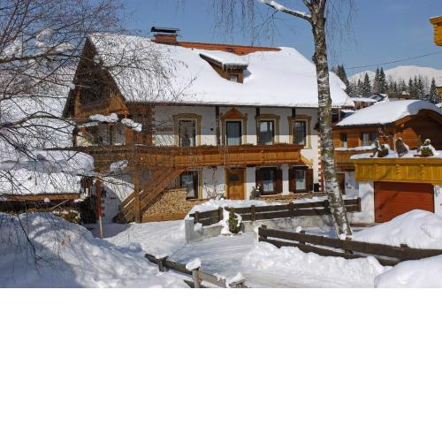 Appartement Enzian - am Skihuegel