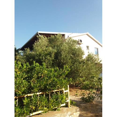 appartement Juras 2