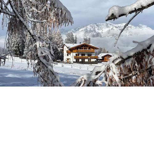 Appartement Schwab Ski in & Out