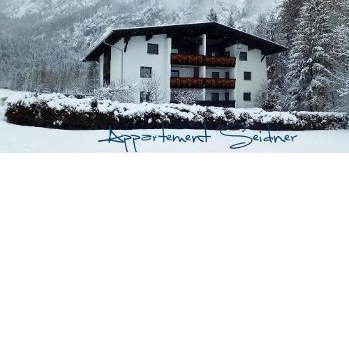 Appartement Seidner