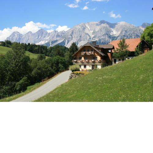 Appartement Steinacher