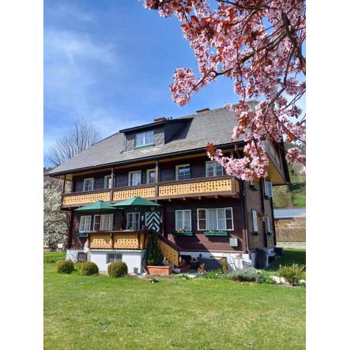 Appartement Steiner