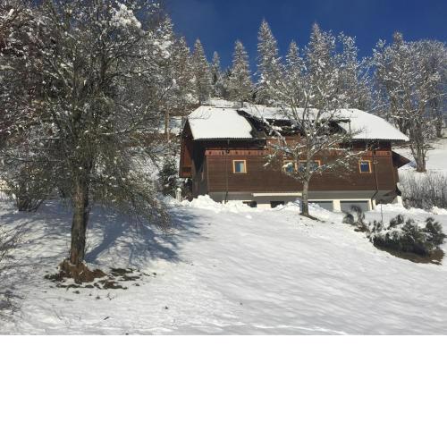Appartement VIDMAR-WINTERTRAUM