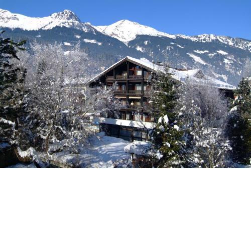 Appartementhaus Gastein inklusive Alpentherme gratis