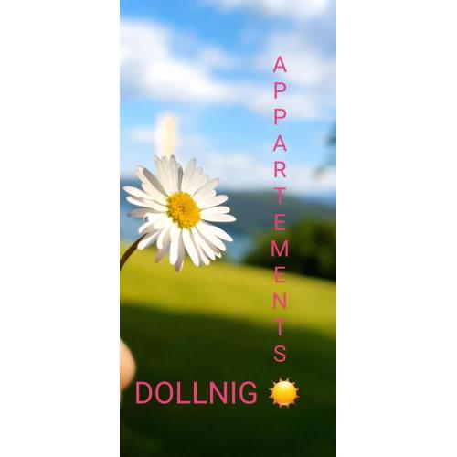 Appartements Dollnig