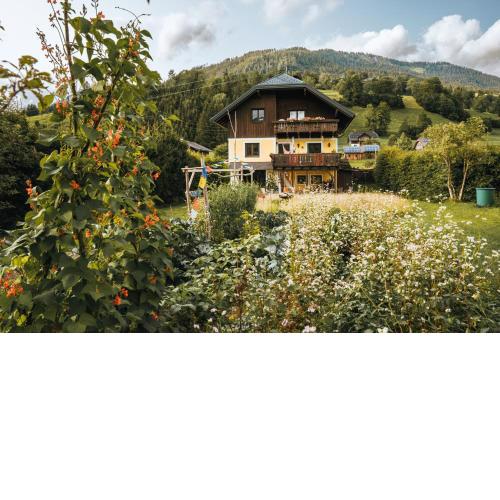 Appartements K62