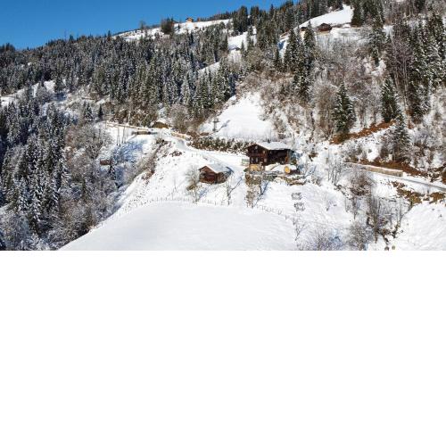 Artlieb Hütte