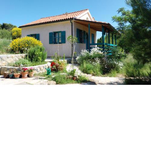 Arya House