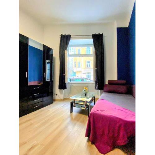 Astonishing 1 BR Apt. Near Danube River