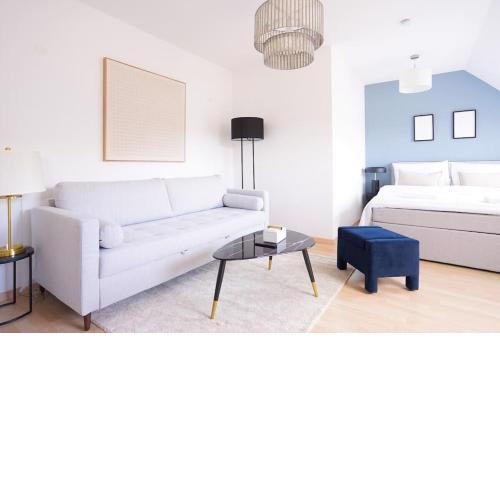 Astonishing Studio in the heart of Vienna