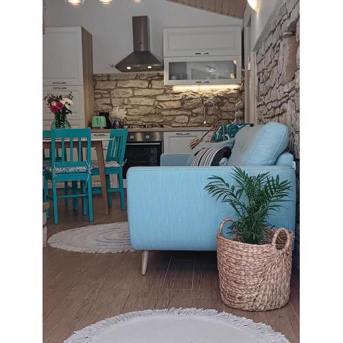 Authentic Istria&pet friendly apartment Banko near Rovinj