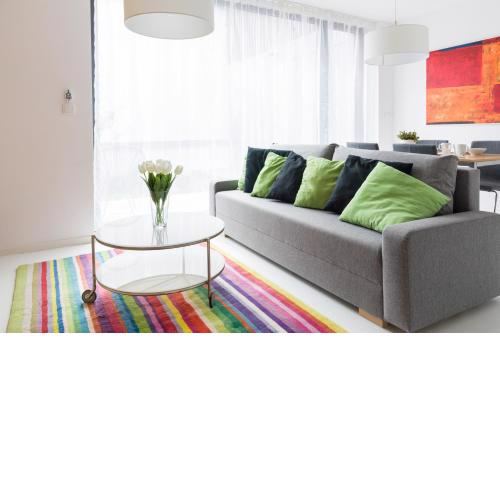 Baron Apartments Sušice