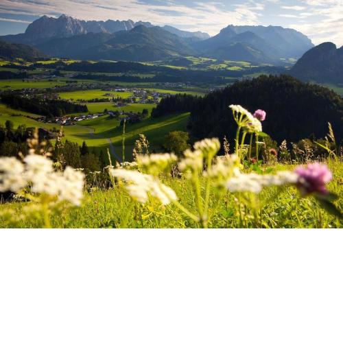 Barrierefreie schöne Wohnung im EG