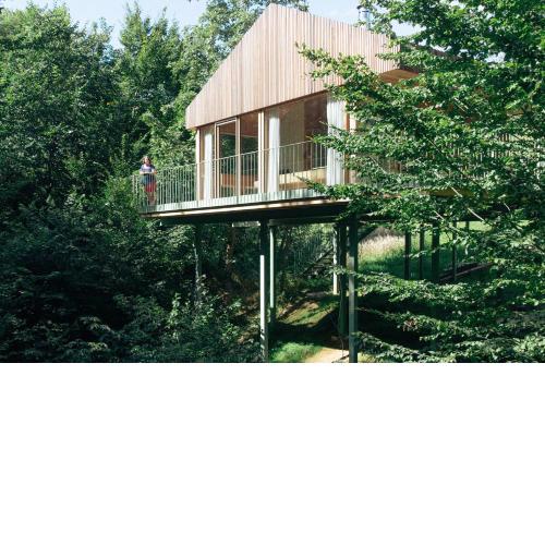 baumhaus buchengrün