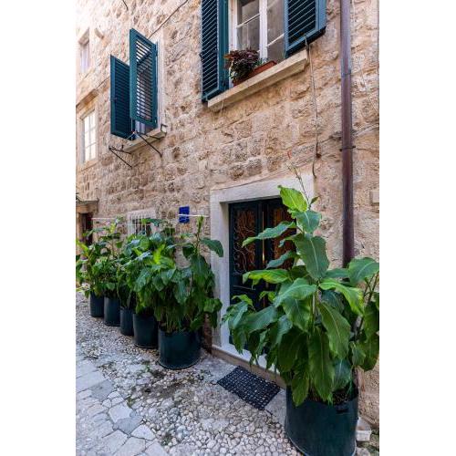 B&B BUZA HOUSE
