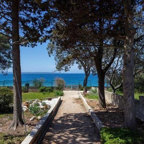 Beach House Wild Paradise