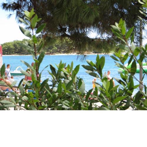 Beachfront Rooms & Apartments