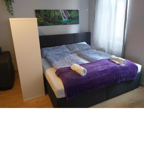 Beautiful 1BR Apt Comfortable Design - Central Located