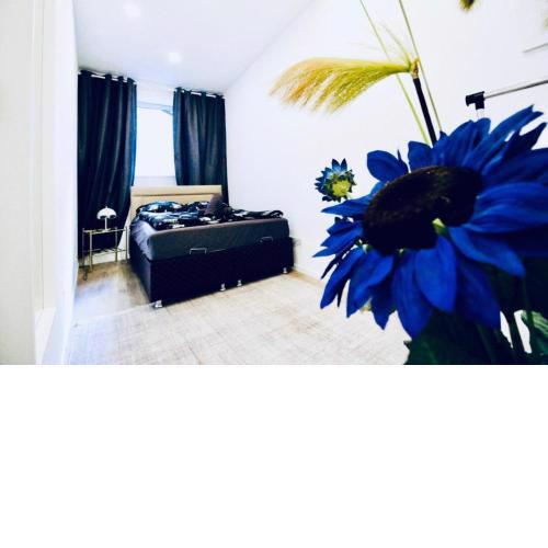 Beautiful 2BR and 1LR Apartment 10 Minutes to St Stephens
