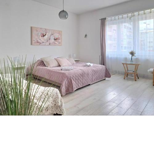 Beautiful Apartment in Center of Zagreb