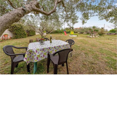 Beautiful Apartment In Vrsi With Kitchen
