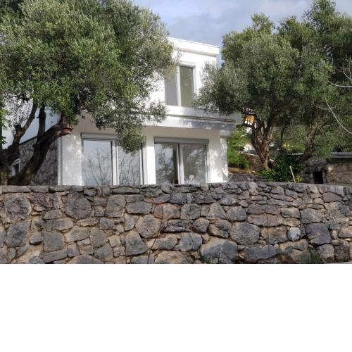 Beautiful house/villa Arboretum