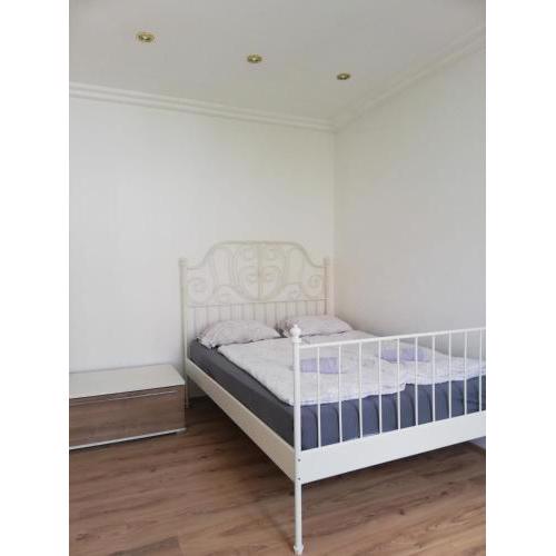 Beautiful, spacious and cheap