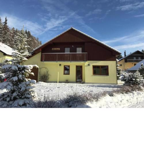 beautiful villa with ski pistes