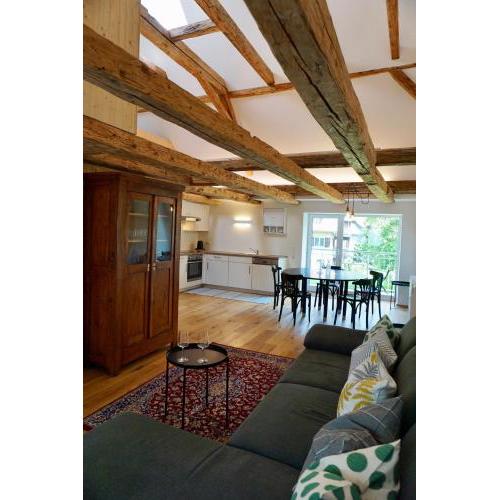 Beeindruckende Wohnung im Rheintal