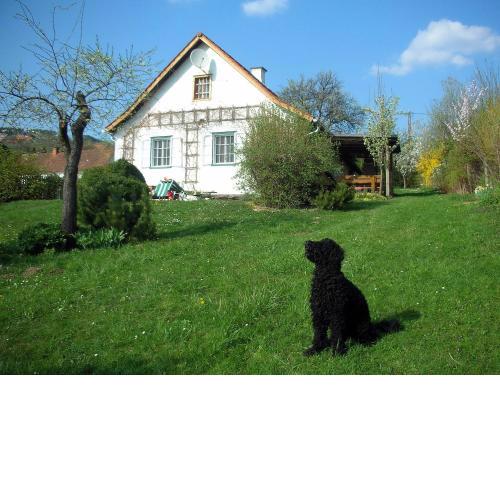 Beim Schachnerhaus