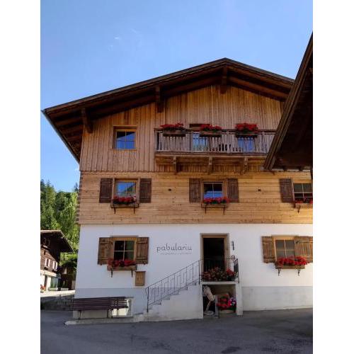 Bergbauernhof Pabulariu