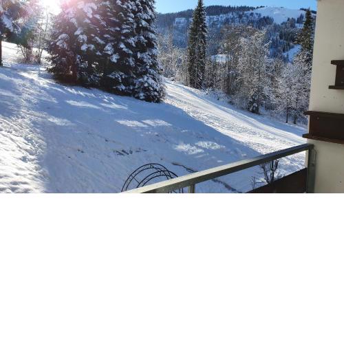 Berghof Appartement 11