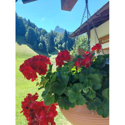 Bergmomente Montafon Ferienhaus Bitschweil