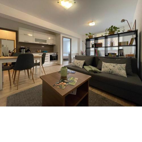 Beroun apartments
