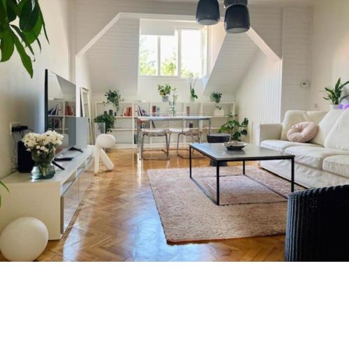 Big, bright apartment in the center of Zagreb
