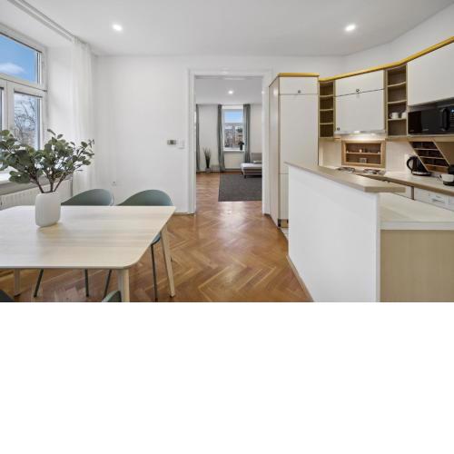 Big spacious central apartment in Vienna