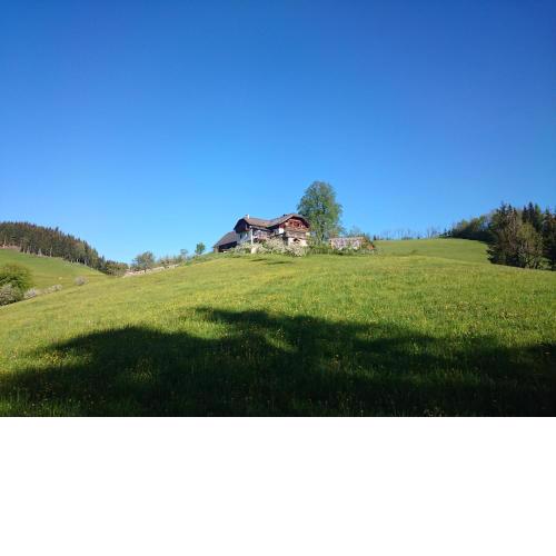 BIO-Bauernhof Kurzeck