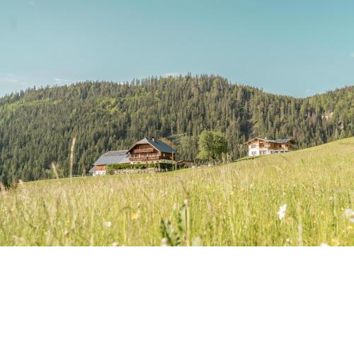 Bio Bauernhof Oberhinterberg Appartement