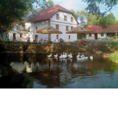 BioFarma Dolejší Mlýn