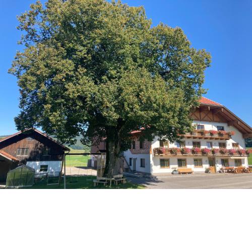 Biohof-Feichtinger
