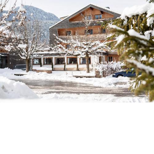 Biohotel Schwanen