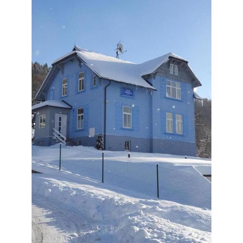 BLUE PENSiON