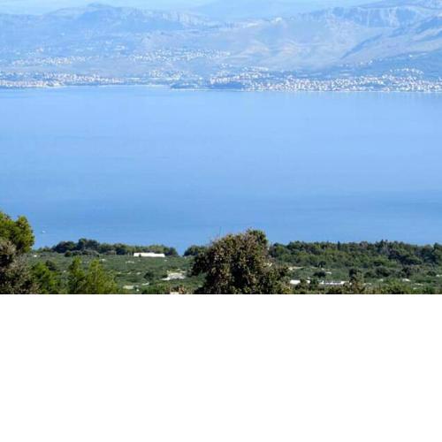 Blue View