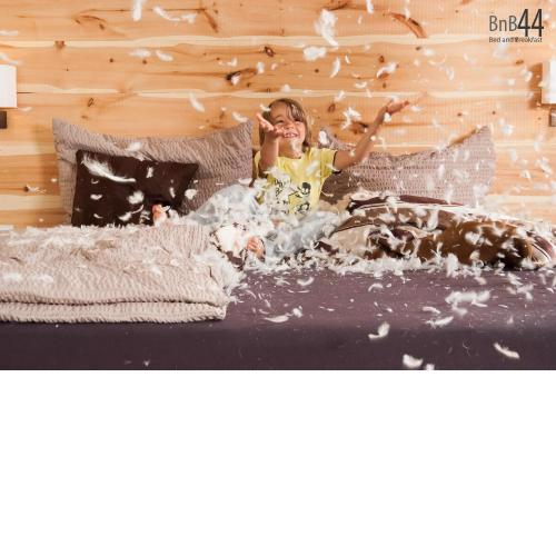BnB44 only rooms no breakfast