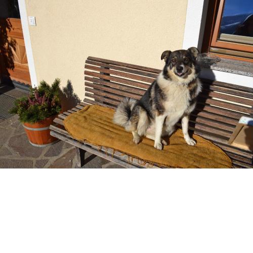 Bohrerhof