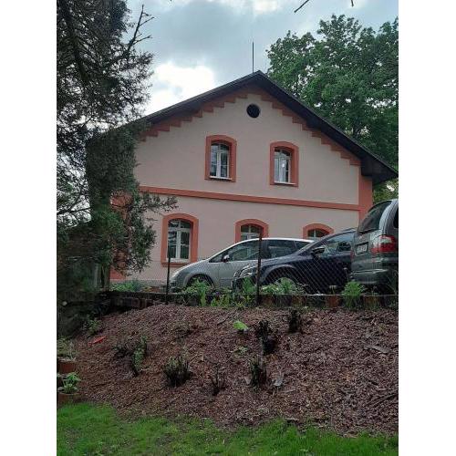 Borovnička