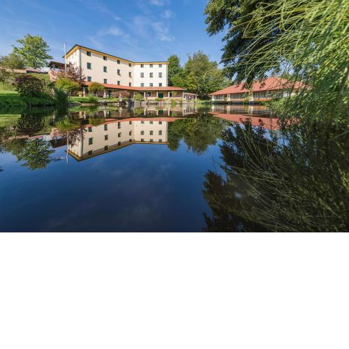 Boutique Hotel Pri Mlyne Lozorno